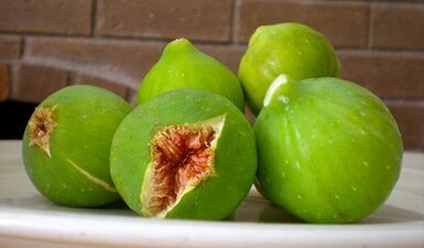Figs as a remedy for warts